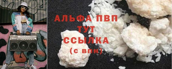 стафф Вязьма